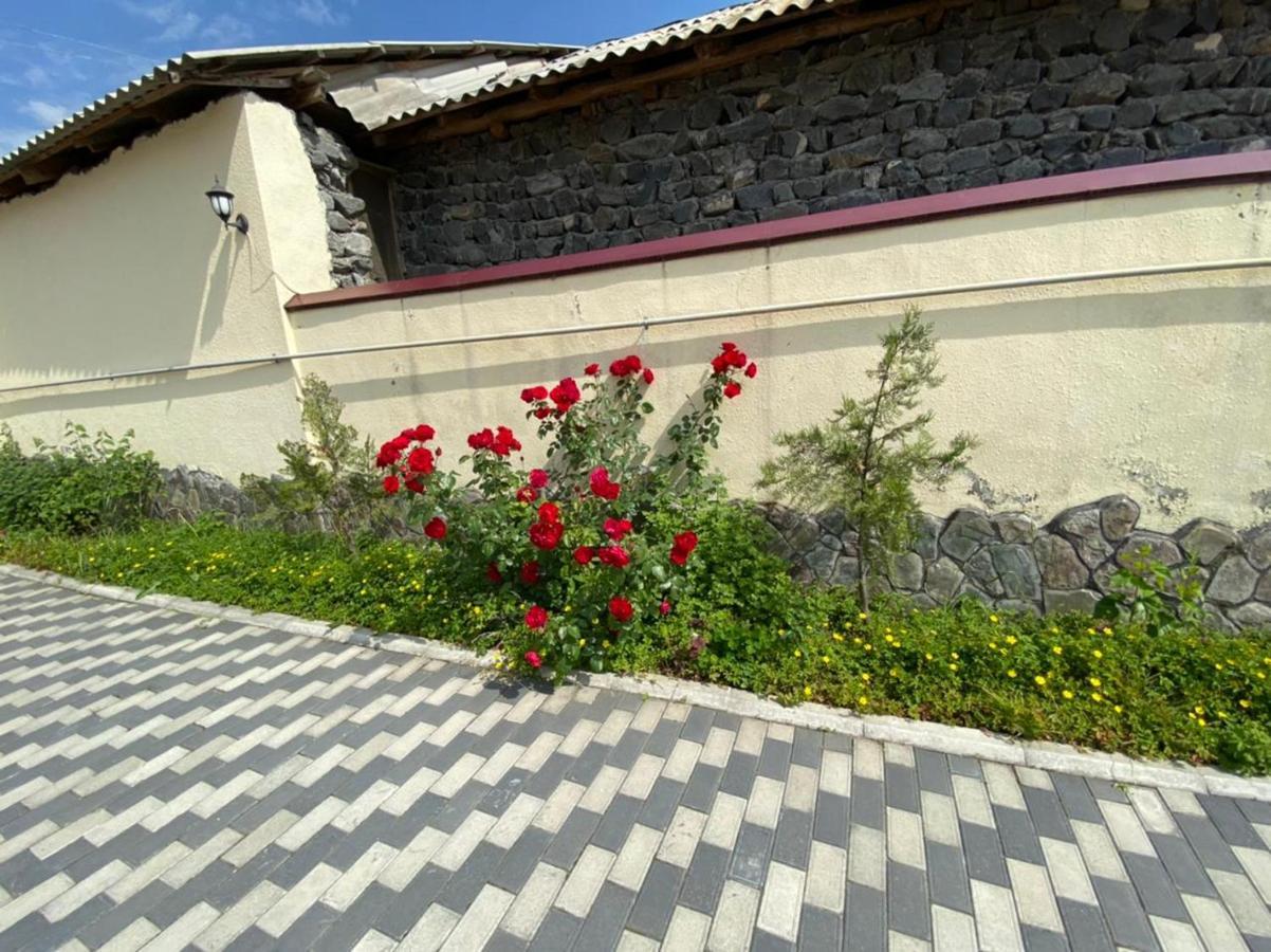 قاكس Alp Hotel المظهر الخارجي الصورة