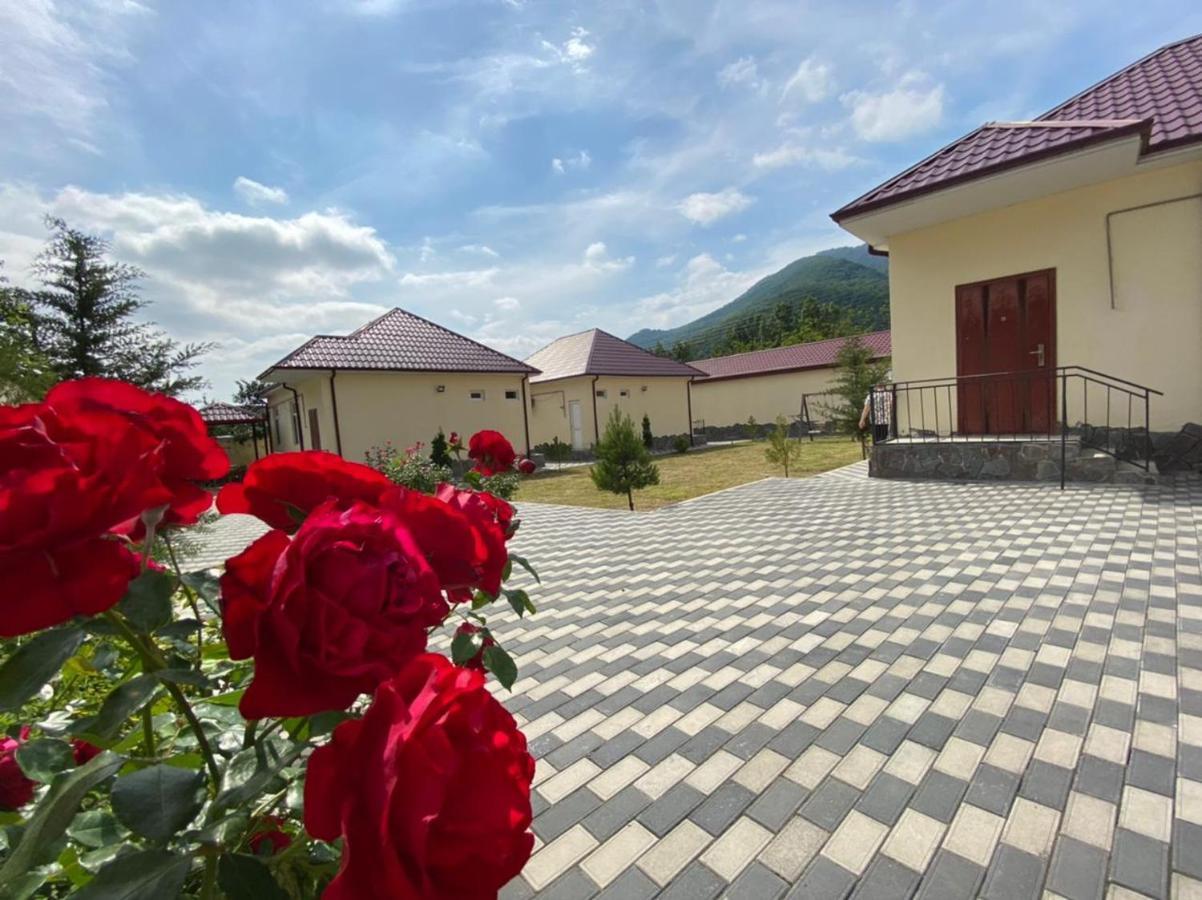 قاكس Alp Hotel المظهر الخارجي الصورة