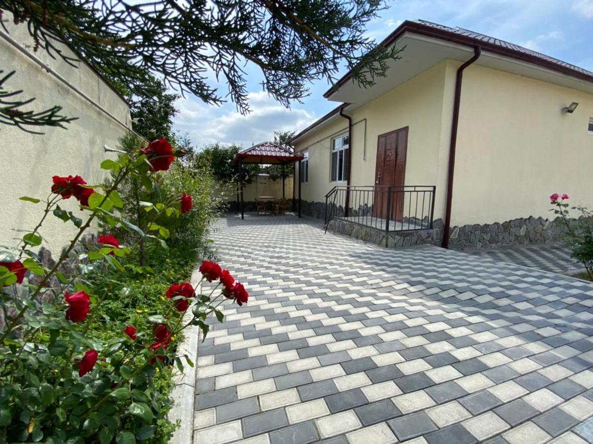 قاكس Alp Hotel المظهر الخارجي الصورة