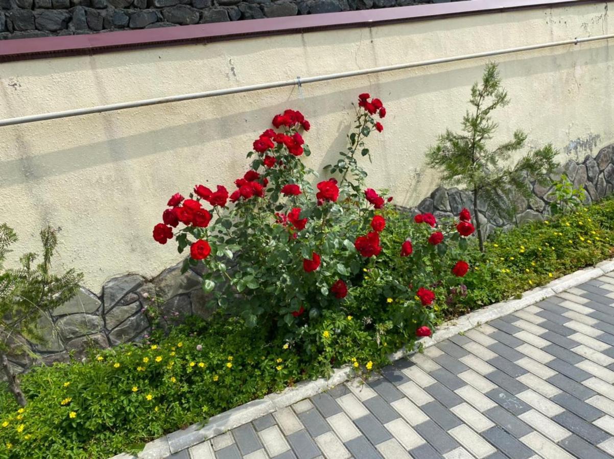 قاكس Alp Hotel المظهر الخارجي الصورة