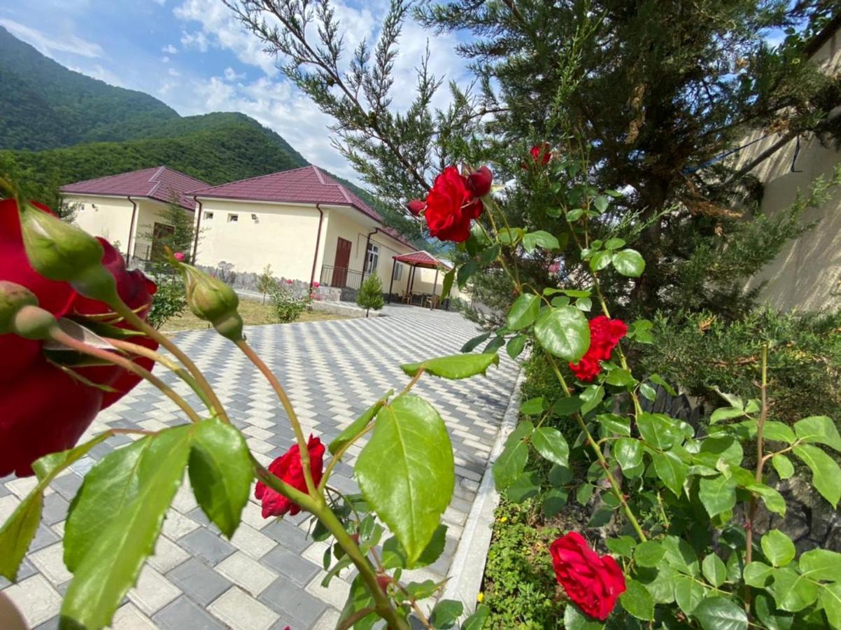 قاكس Alp Hotel المظهر الخارجي الصورة