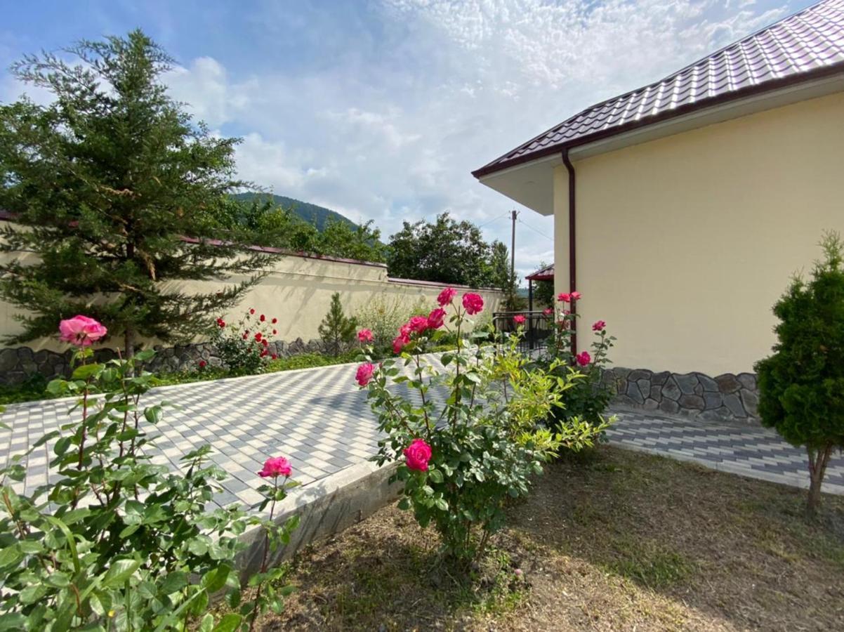 قاكس Alp Hotel المظهر الخارجي الصورة