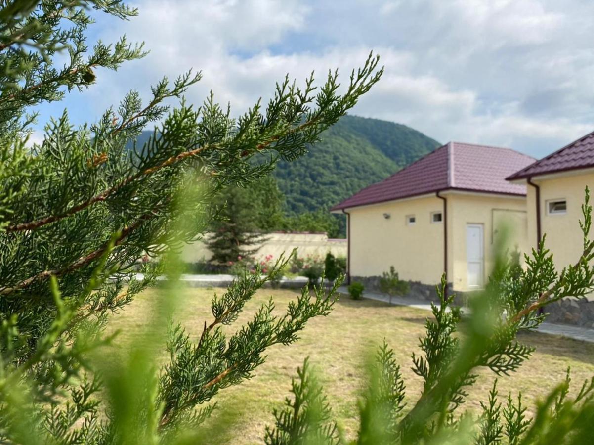 قاكس Alp Hotel المظهر الخارجي الصورة