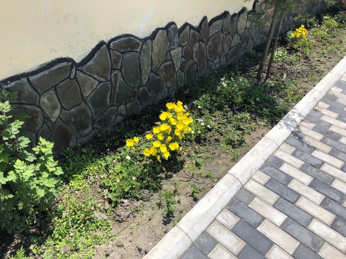 قاكس Alp Hotel المظهر الخارجي الصورة
